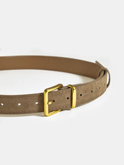 Golden Buckle Suede Belt