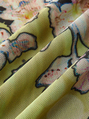 Mesh Long Sleeve Floral Print Maxi Dress