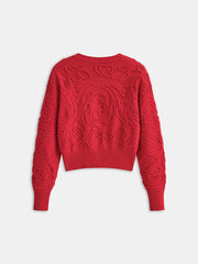 Embroidered Crew Neck Knit Top