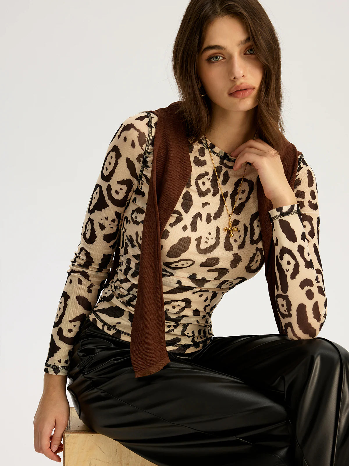 Leopard Print Mesh Long Sleeve Top